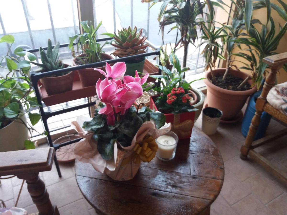 "La Maison Del Corso" Hospitality 比萨 外观 照片