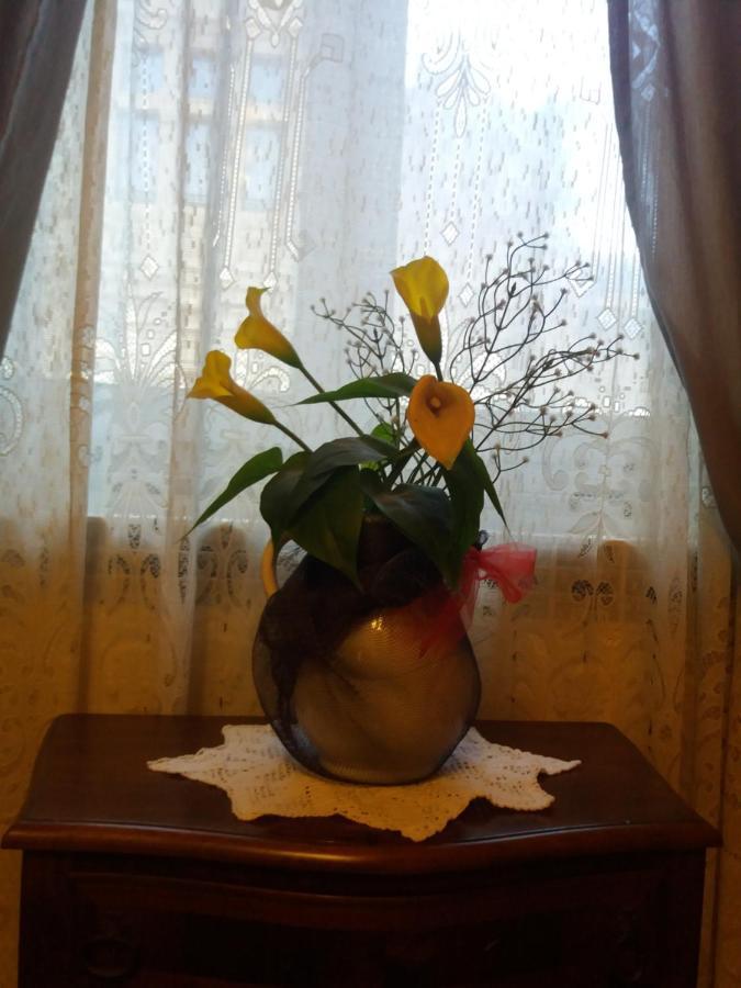 "La Maison Del Corso" Hospitality 比萨 外观 照片